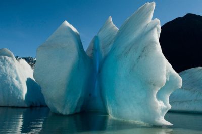 chasing-ice-melting-glaciers-1