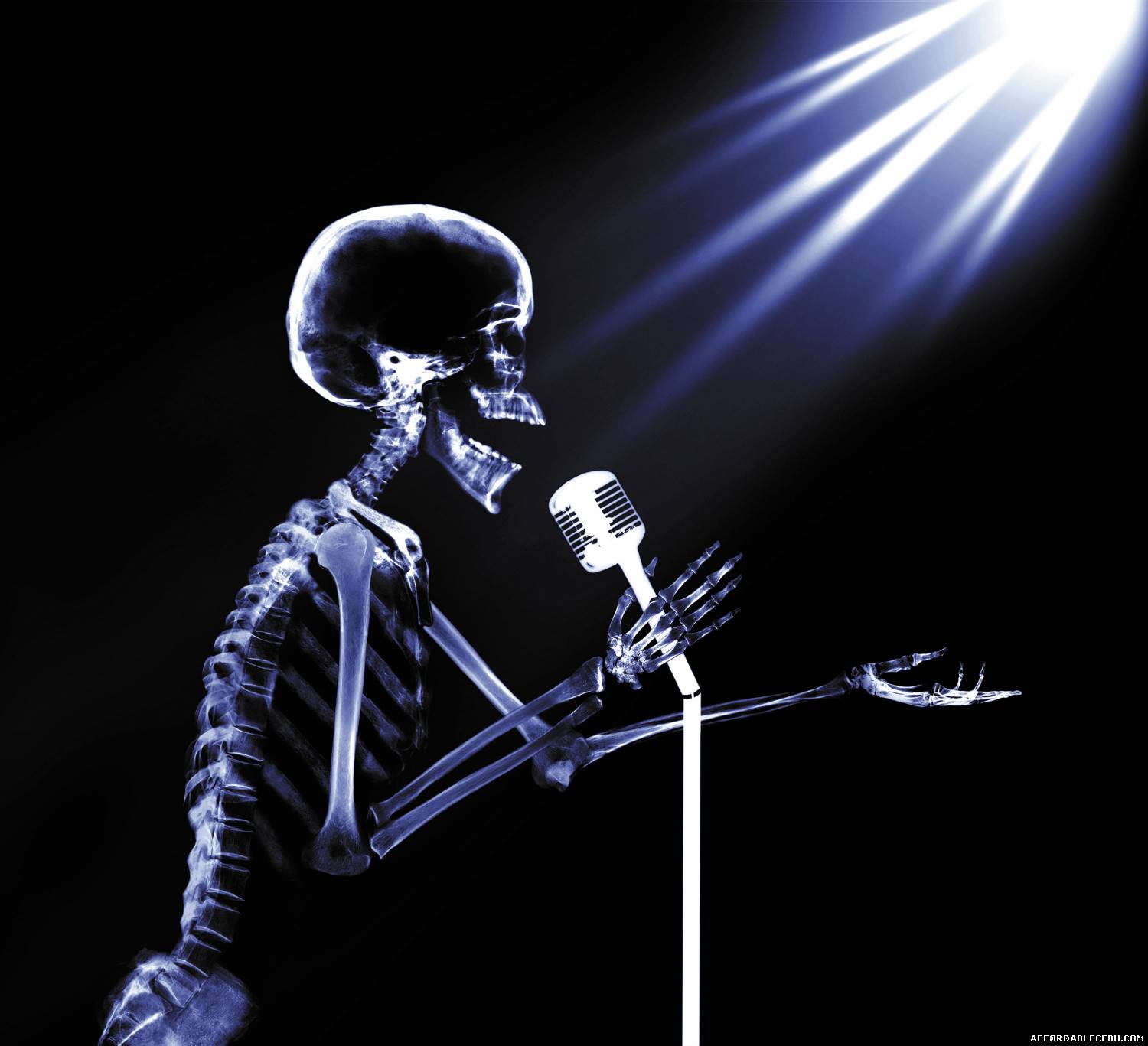 skeleton-mic